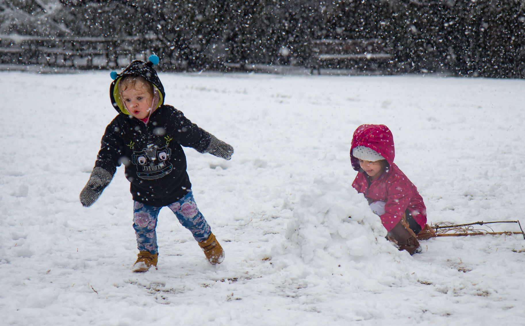 Snow in Tucson